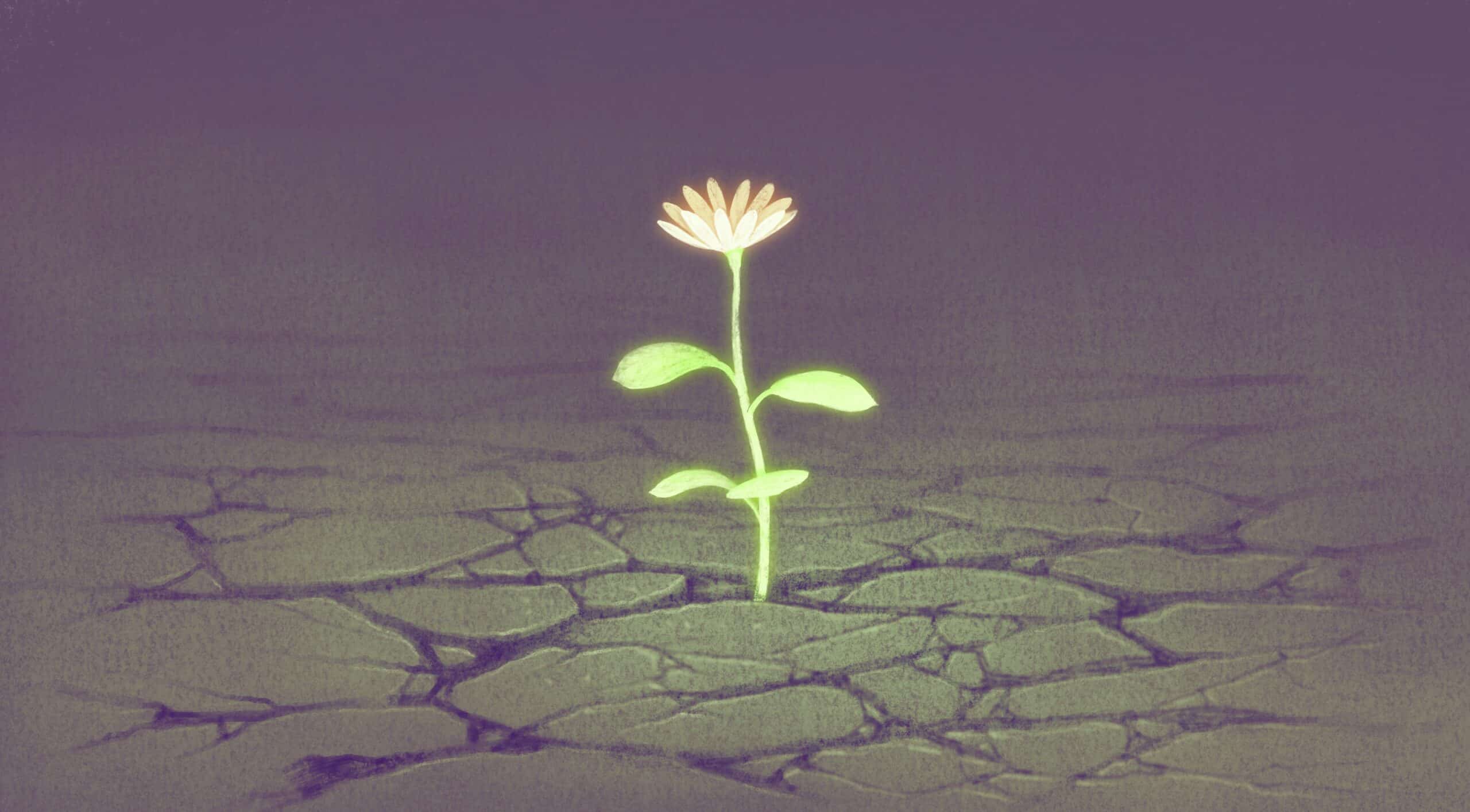 Illustration of pink flower with green leaves growing up through cracked pavement.