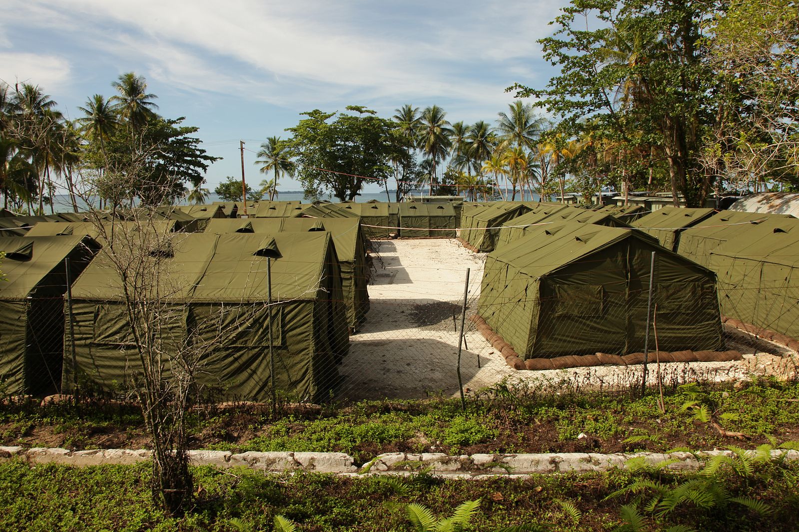 Green tents set close together. There are trees and the sky is blue.