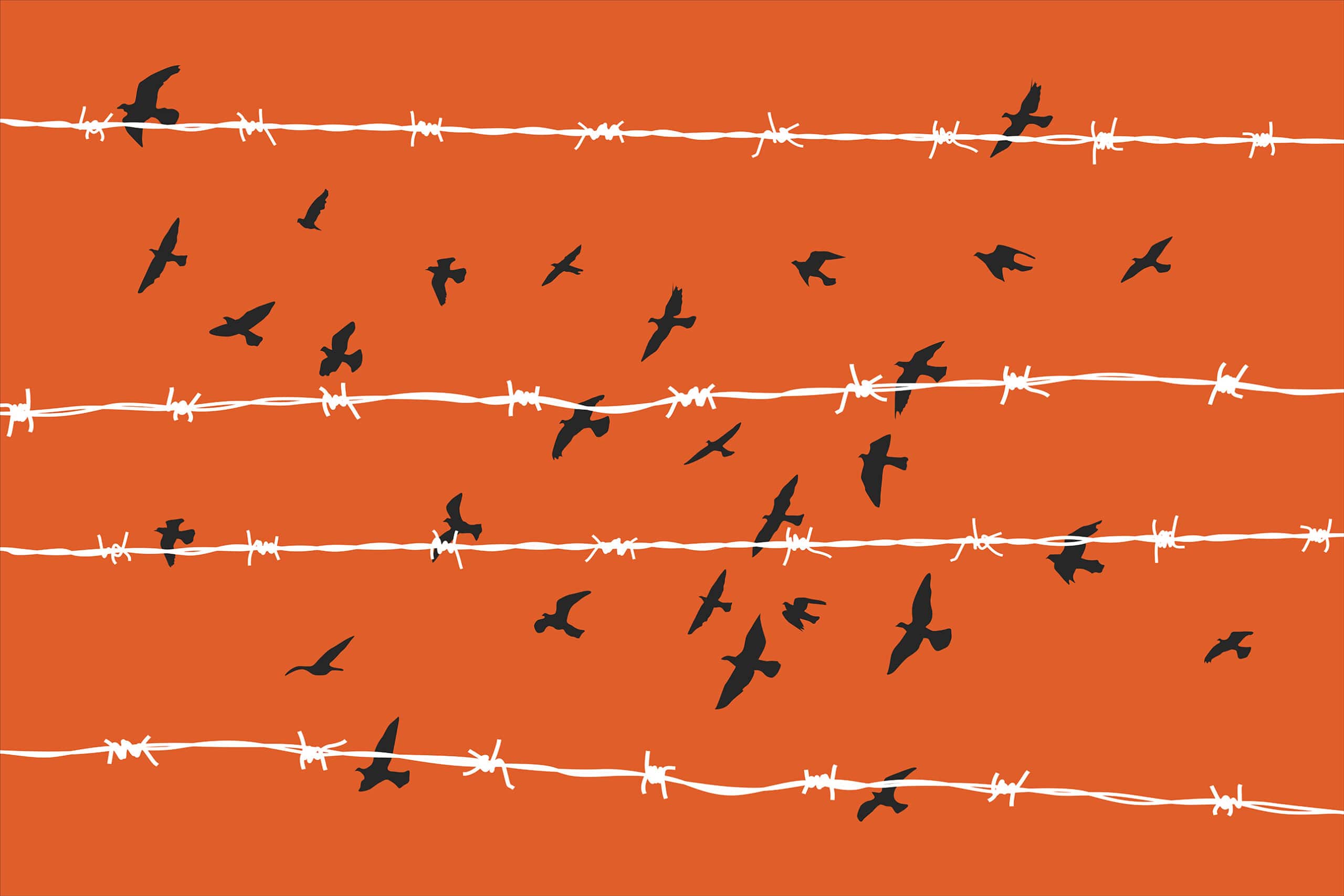 Graphic of birds fly behind barbed wire