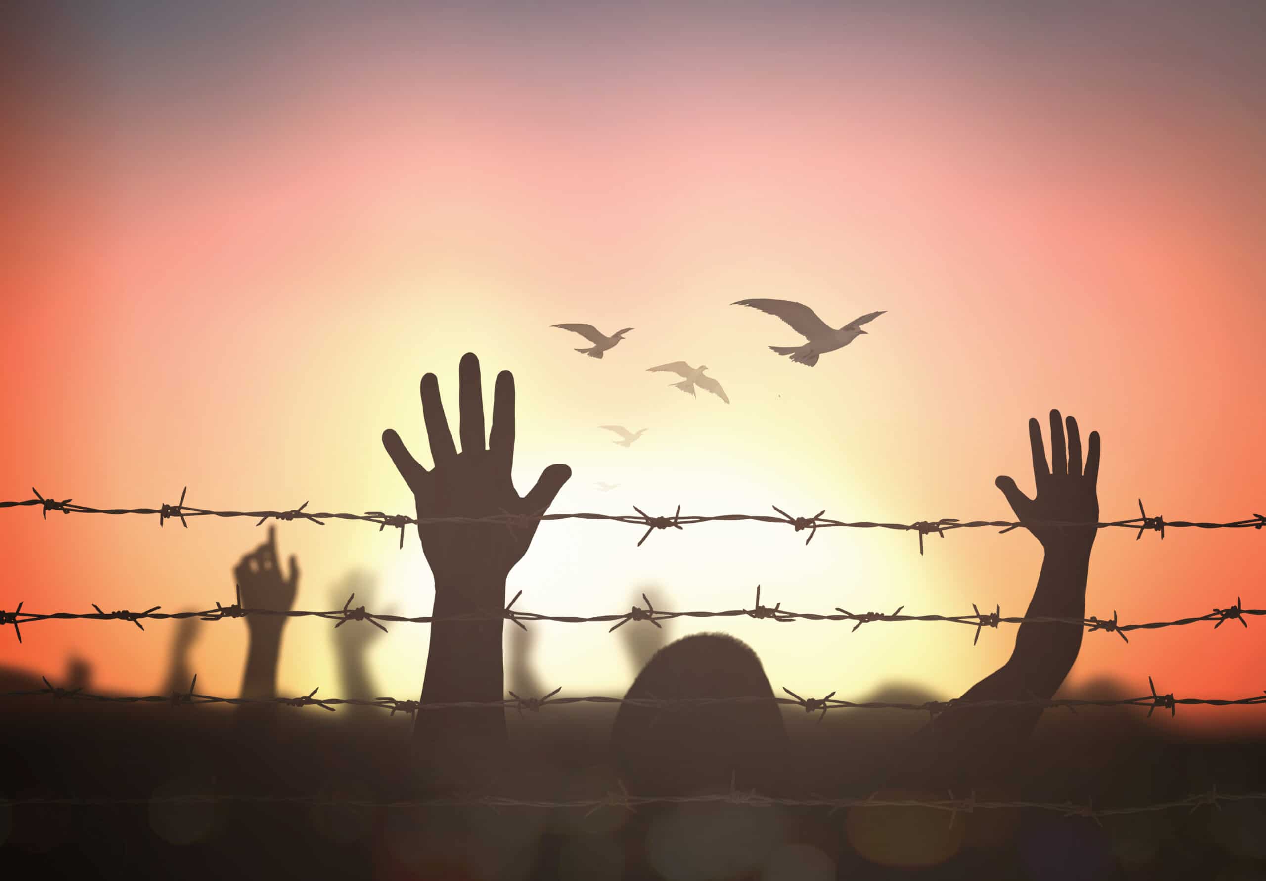 A sillhouette of hands reaching up over barbed wire. The sky is orange and there are birds flying through the air.